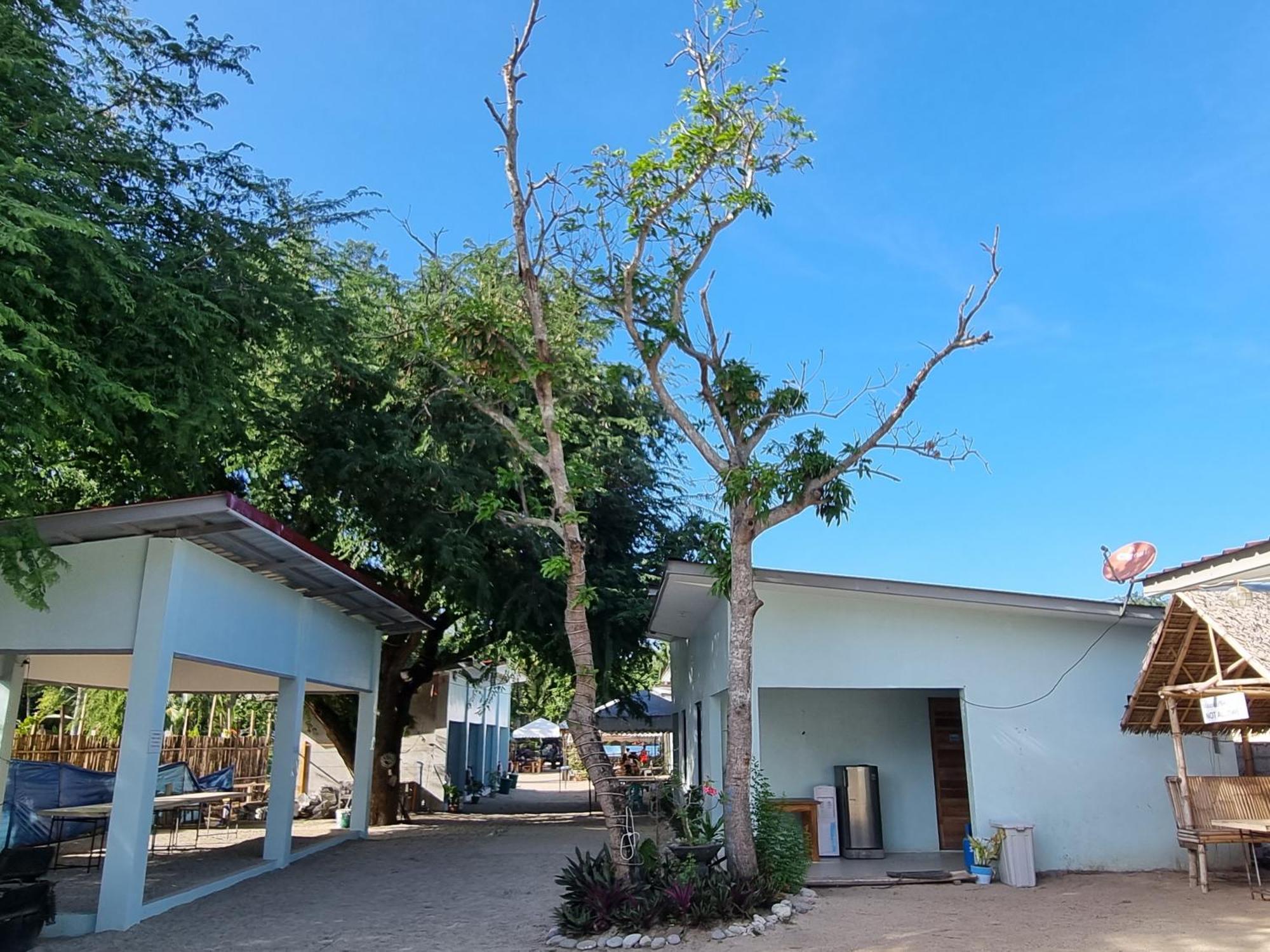 Yemaya De Laiya Powered By Cocotel Ngoại thất bức ảnh